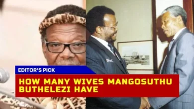 The Marital History Of Mangosuthu Buthelezi A Detailed Account Of The South African Statesman'S Family Life