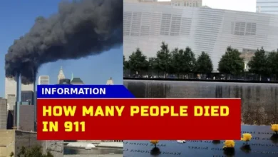 How Many People Died In 9/11 An Updated Insight Into The 2001 Attacks?