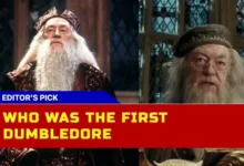 Who Was The First Dumbledore? Michael Gambon Takes Over In Harry Potter Movies