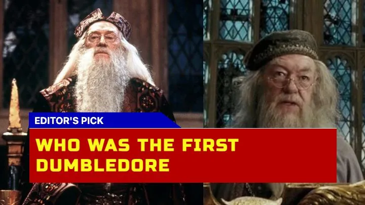Who Was The First Dumbledore? Michael Gambon Takes Over In Harry Potter Movies